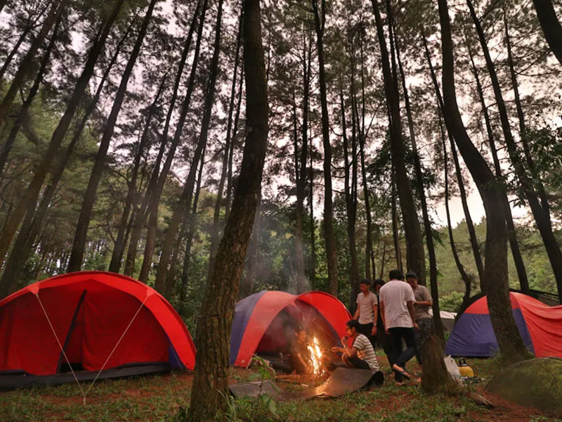 Area Berkemah