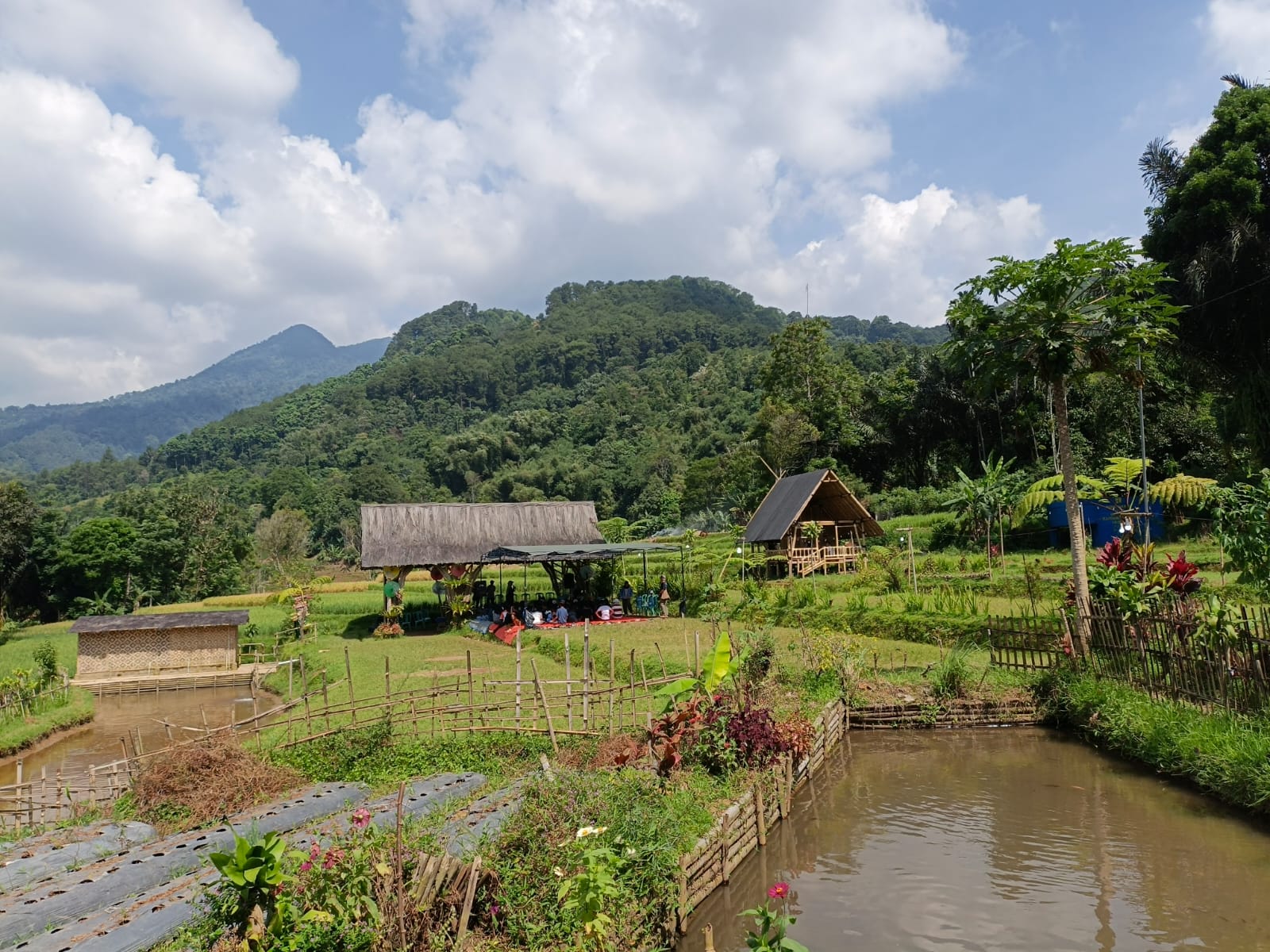 Perbukitan